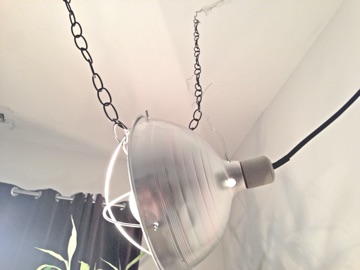 Brooder lamp hanging from ceiling by a chain, with wire to pull it into position